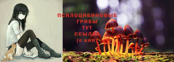 шишки Зеленодольск