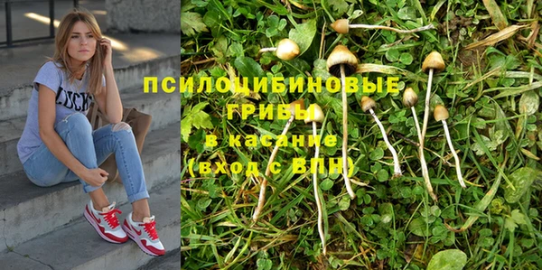 шишки Зеленодольск