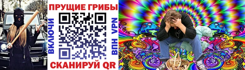 Купить закладки  Тольятти  Псилоцибиновые грибы MAGIC MUSHROOMS 